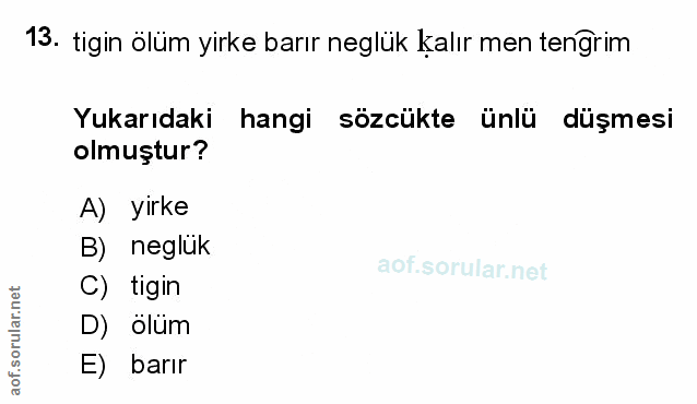 Soru 13