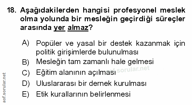 Soru 18