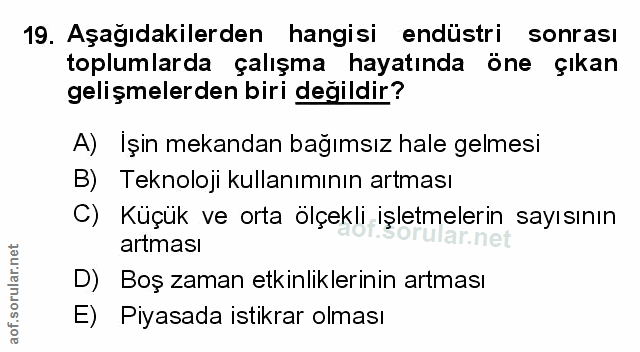 Soru 19