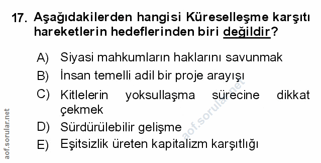 Soru 17