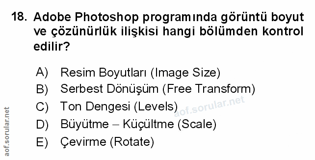 Soru 18
