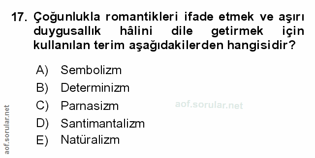 Soru 17