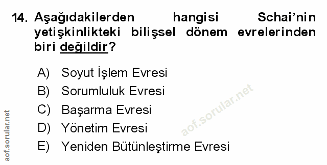Soru 14