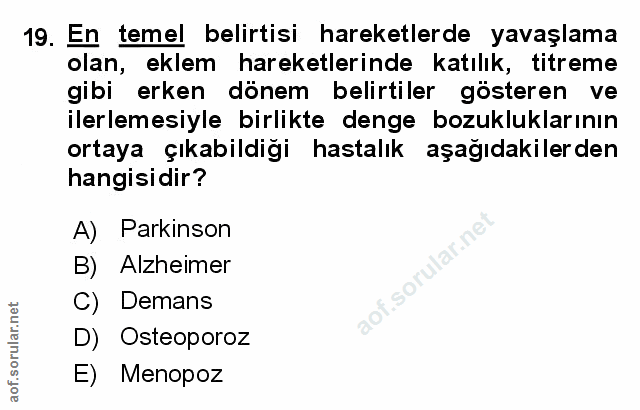 Soru 19