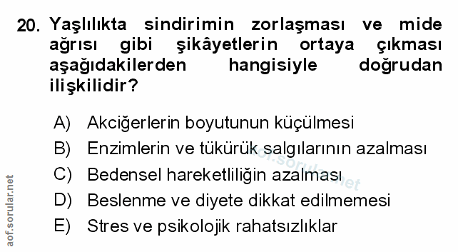 Soru 20