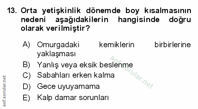 Soru 13