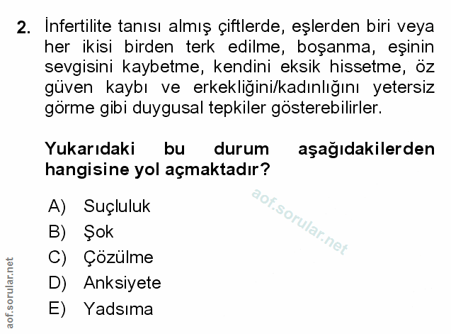 Soru 2