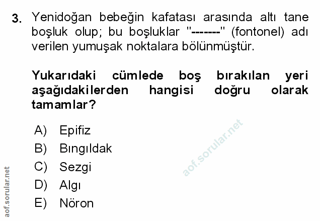 Soru 3