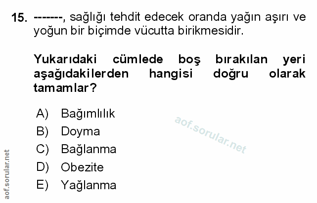 Soru 15