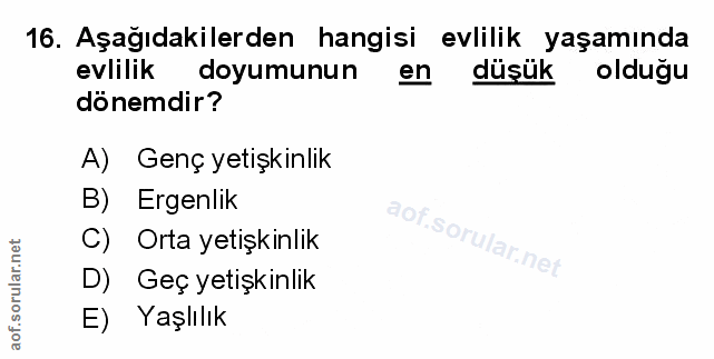 Soru 16