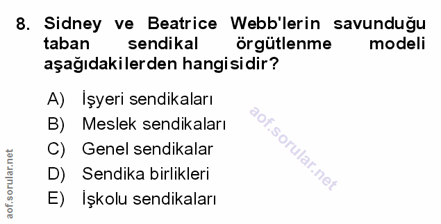 Soru 8