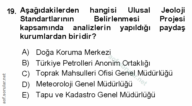 Soru 19