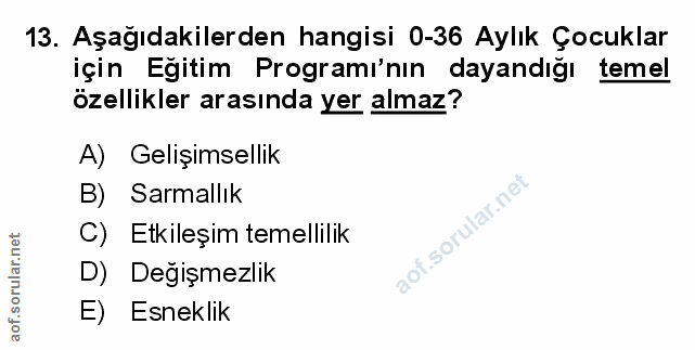 Soru 13