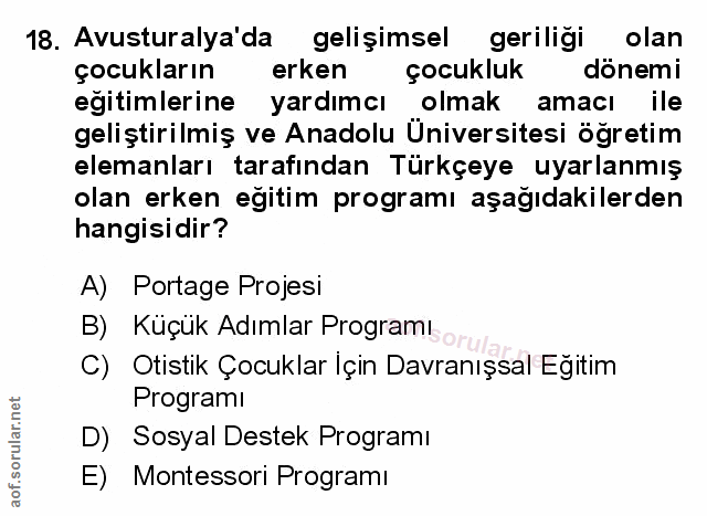 Soru 18