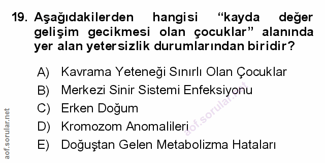 Soru 19