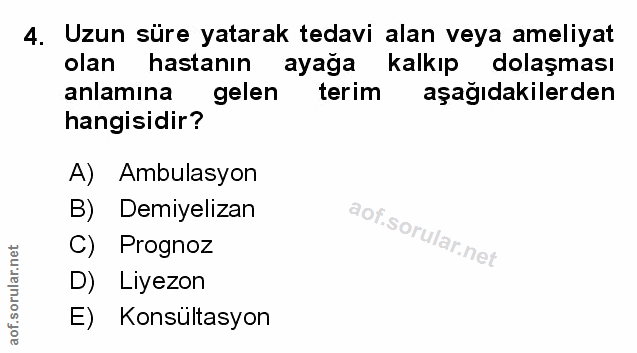 Soru 4