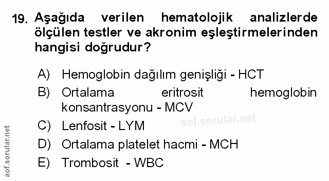 Soru 19
