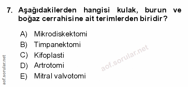 Soru 7