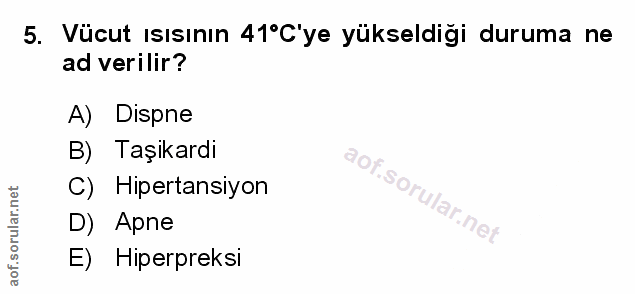 Soru 5
