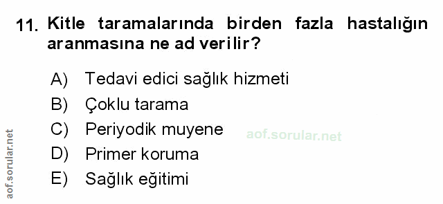 Soru 11