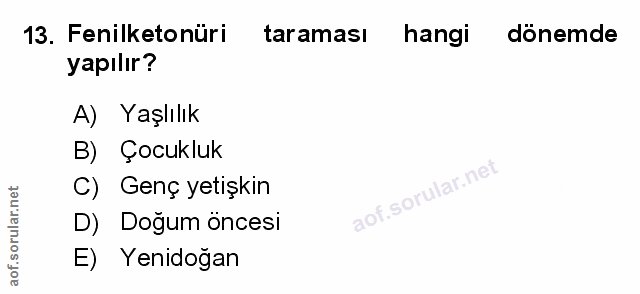Soru 13