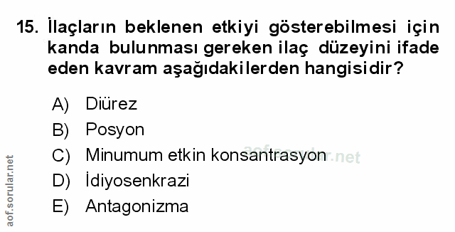 Soru 15