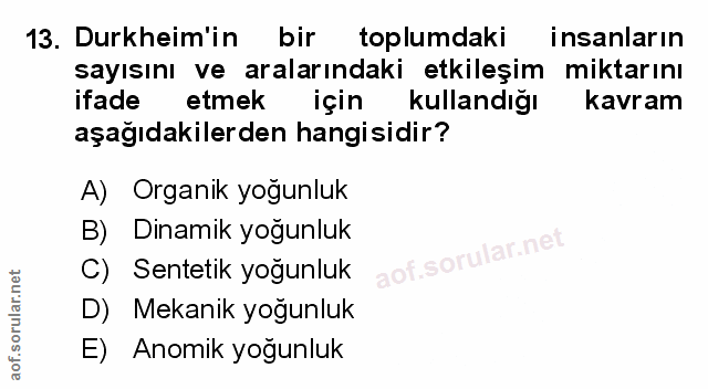Soru 13