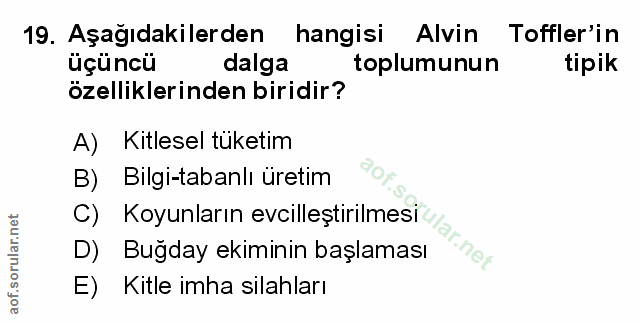 Soru 19