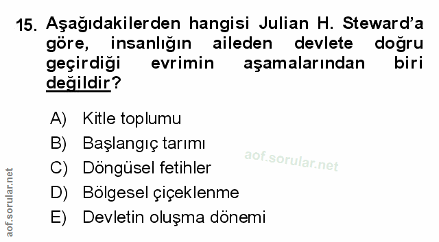 Soru 15