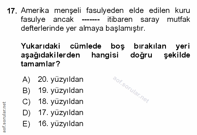 Soru 17