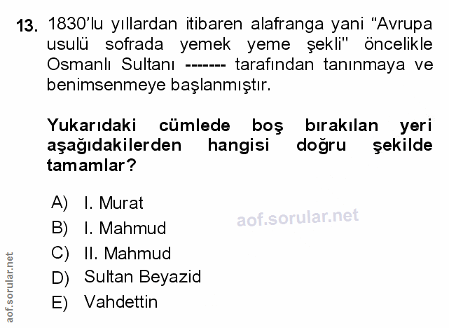 Soru 13
