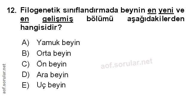 Soru 12