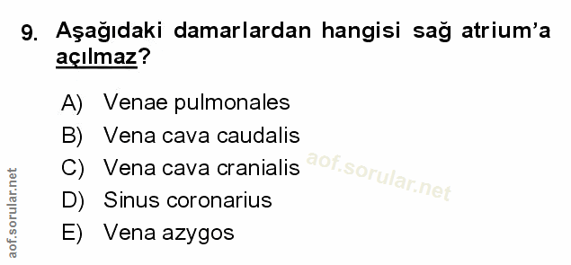 Soru 9