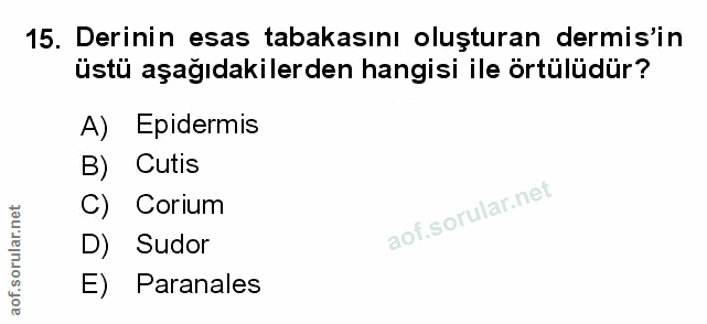 Soru 15