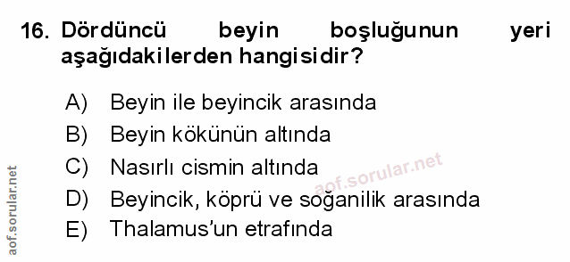 Soru 16