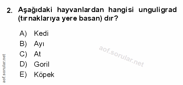 Soru 2