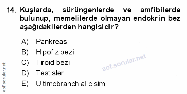 Soru 14