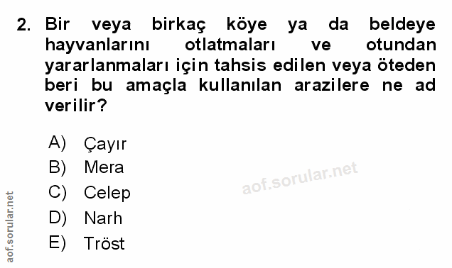 Soru 2