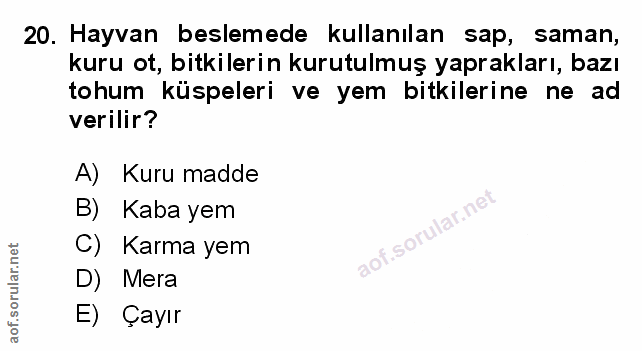 Soru 20