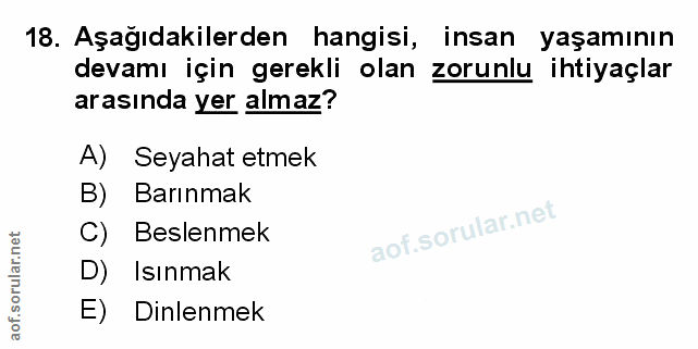 Soru 18