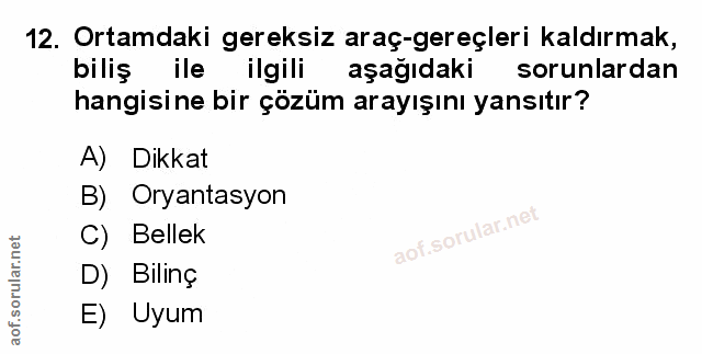Soru 12
