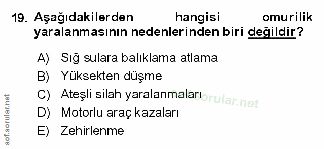 Soru 19