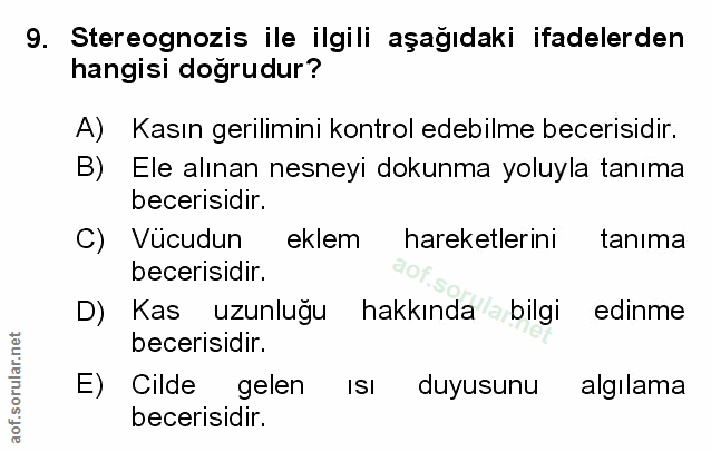 Soru 9