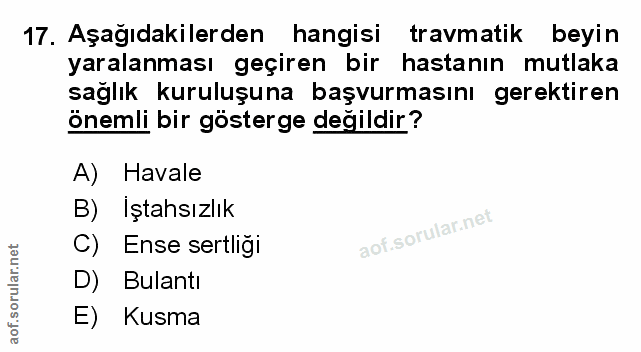 Soru 17