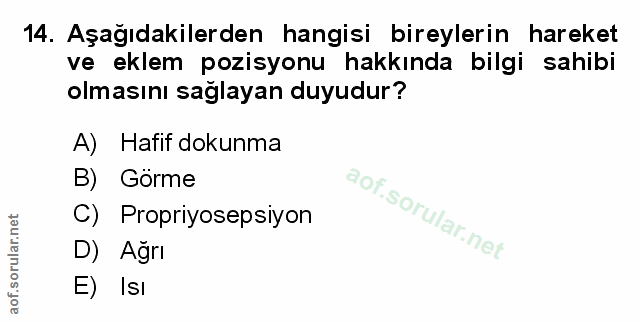 Soru 14