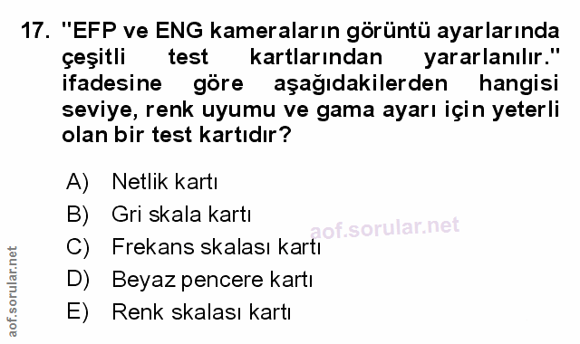 Soru 17