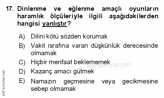 Soru 17