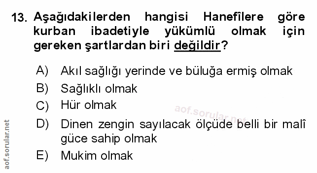 Soru 13