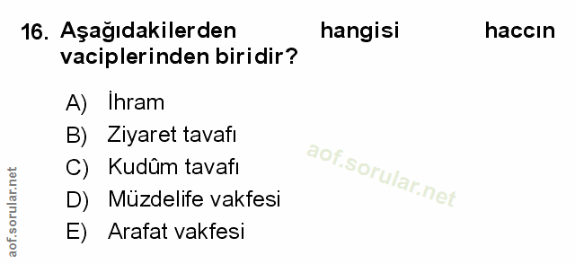 Soru 16