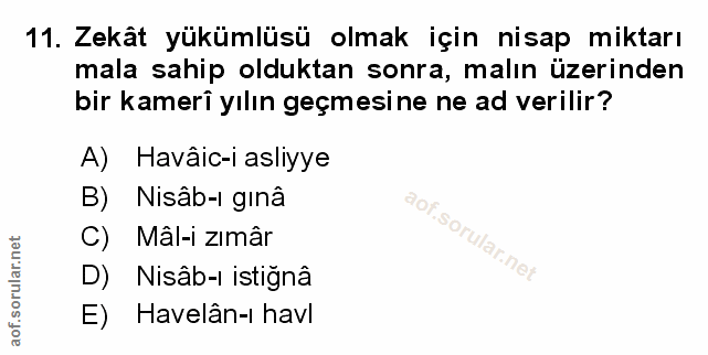 Soru 11